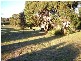 1 Fysh Place, St Helens TAS 7216