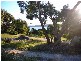 1 Fysh Place, St Helens TAS 7216