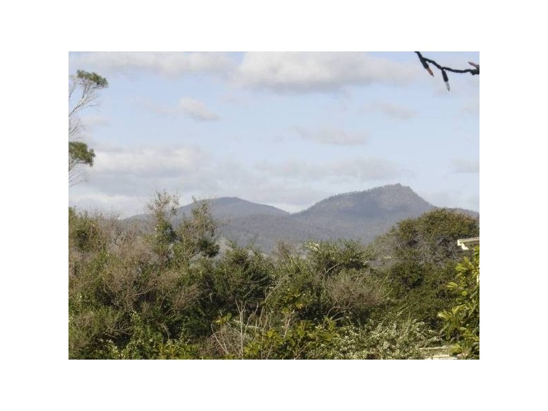 19 Pringle Street, Scamander TAS 7215