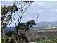 19 Pringle Street, Scamander TAS 7215