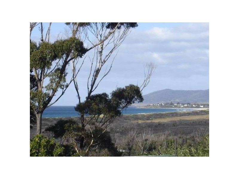19 Pringle Street, Scamander TAS 7215