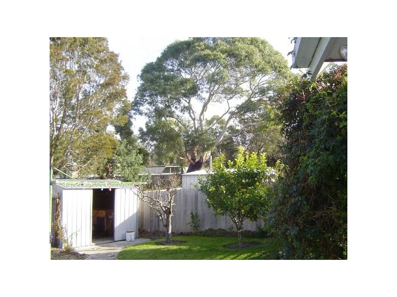 9 Upper Scamander Road, Scamander TAS 7215