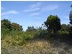 17 Cherrywood Drive, Scamander TAS 7215