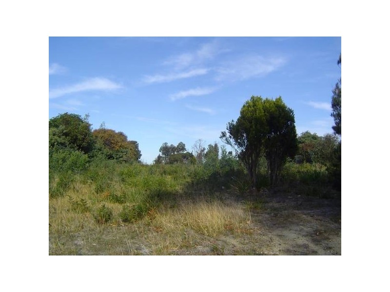 17 Cherrywood Drive, Scamander TAS 7215