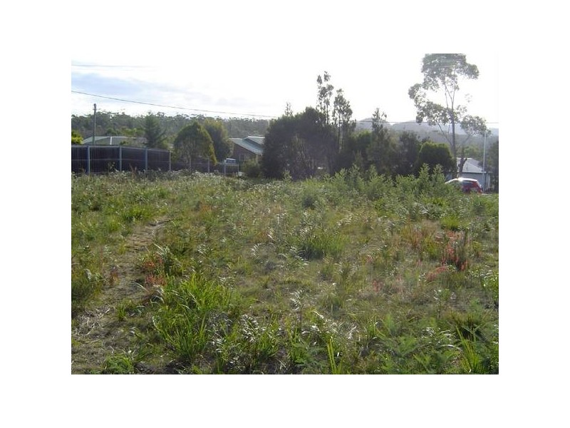 17 Cherrywood Drive, Scamander TAS 7215