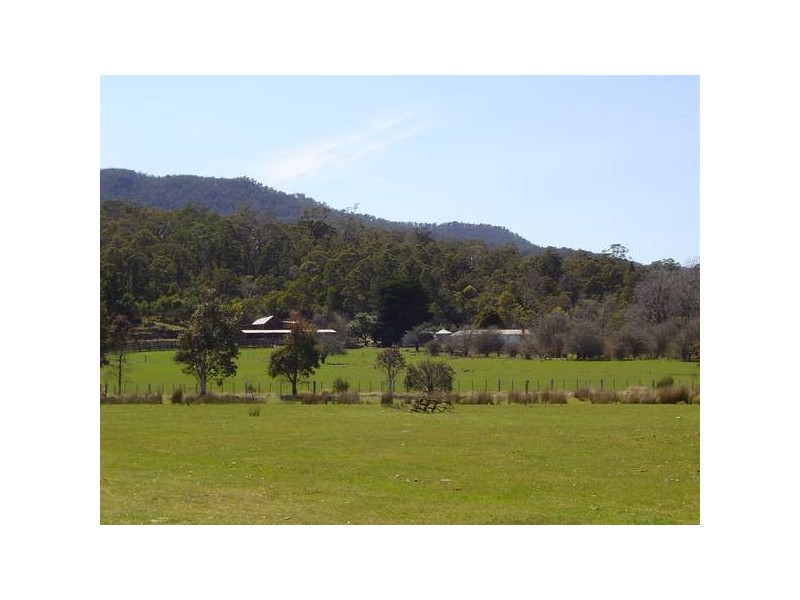 Mt. Nicholas Road, St Marys TAS 7215