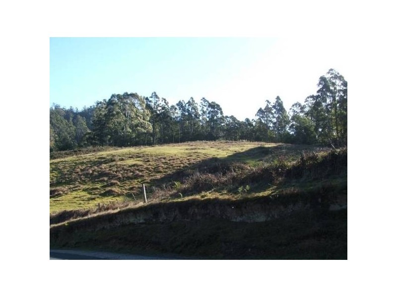 Tasman Highway, Pyengana TAS 7216