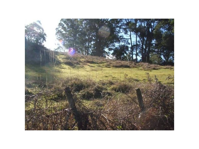 Tasman Highway, Pyengana TAS 7216