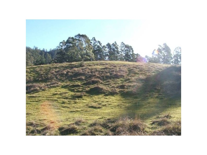 Tasman Highway, Pyengana TAS 7216