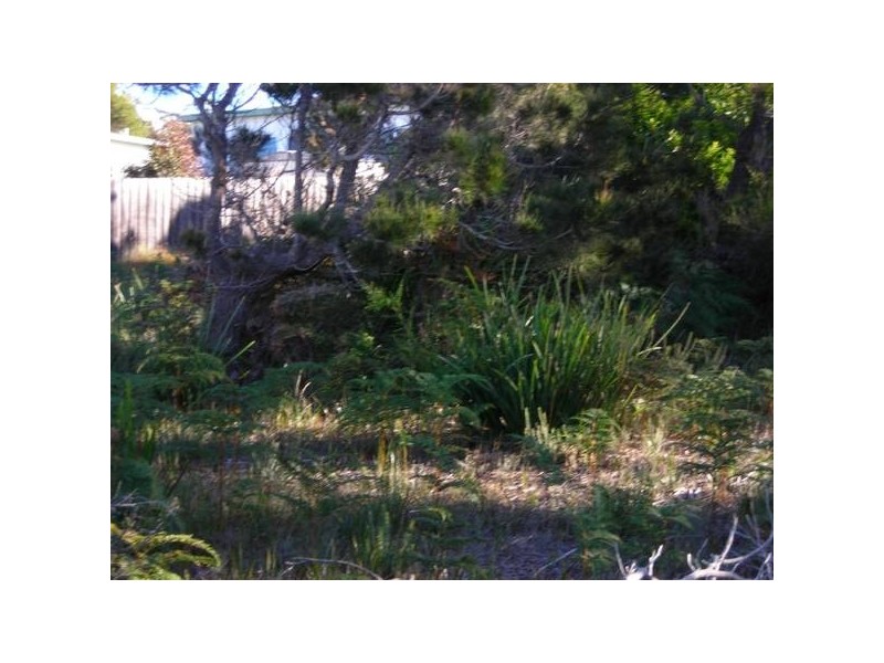 11 Belair Crescent, Beaumaris TAS 7215