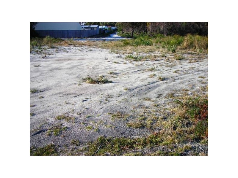 5 Bittern, Stieglitz TAS 7216