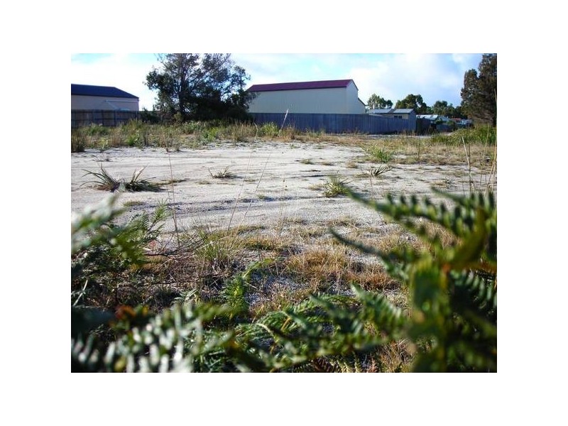 5 Bittern, Stieglitz TAS 7216