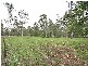104 Norris Creek Road, Munruben QLD 4125