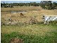 30 Riverina Court, Chambers Flat QLD 4133