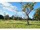 25A Tripod Street, Concord NSW 2137