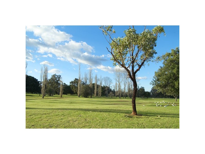 25A Tripod Street, Concord NSW 2137