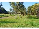 22 Wilga Street, Concord West NSW 2138
