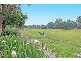 12 Addison Ave, Concord NSW 2137