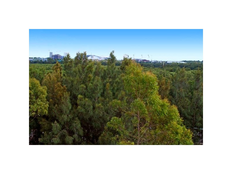 503/4 Wentworth Drive, Liberty Grove NSW 2138
