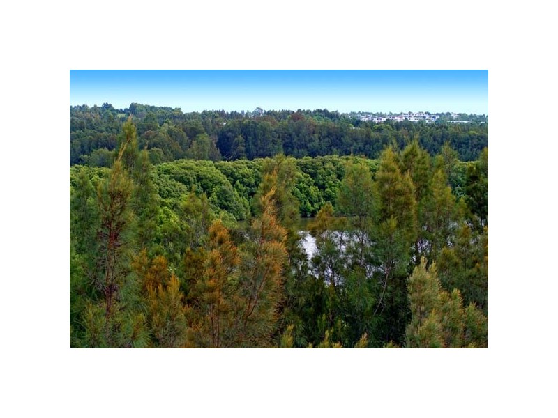 503/4 Wentworth Drive, Liberty Grove NSW 2138