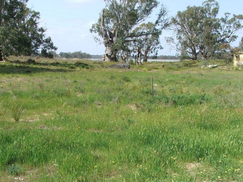 Site 84 Marks Landing, Swan Reach SA 5354