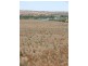 lot 24 Cnr Shearer Heights Road & Omega Road, Mannum SA 5238