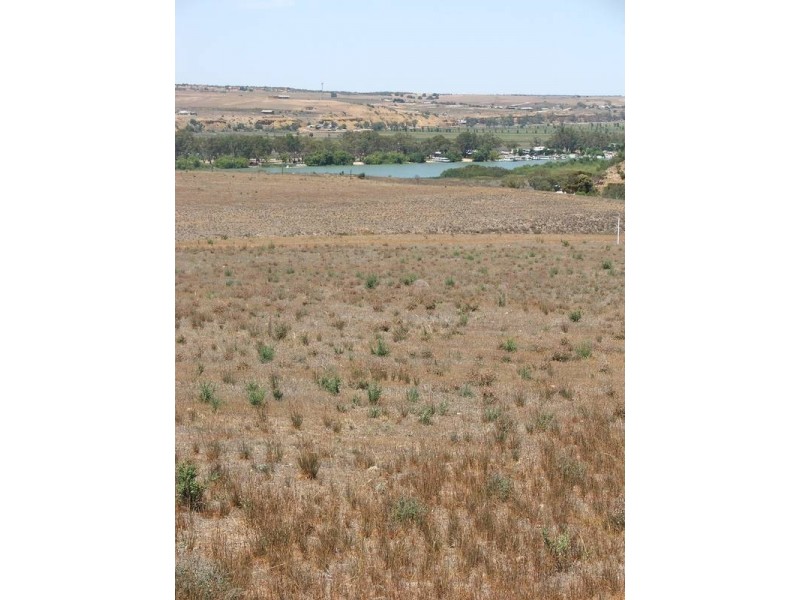 lot 24 Cnr Shearer Heights Road & Omega Road, Mannum SA 5238