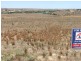 lot 24 Cnr Shearer Heights Road & Omega Road, Mannum SA 5238