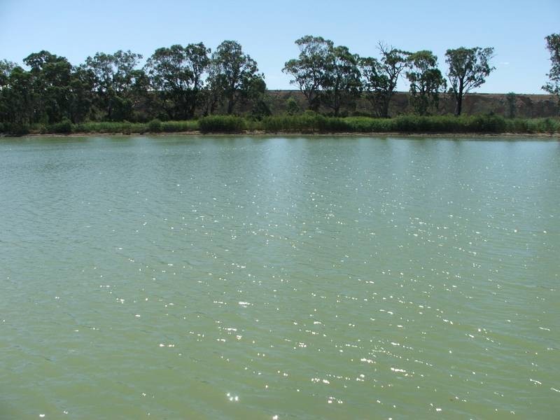 Shack 8 Kroehns Landing, Nildottie SA 5238