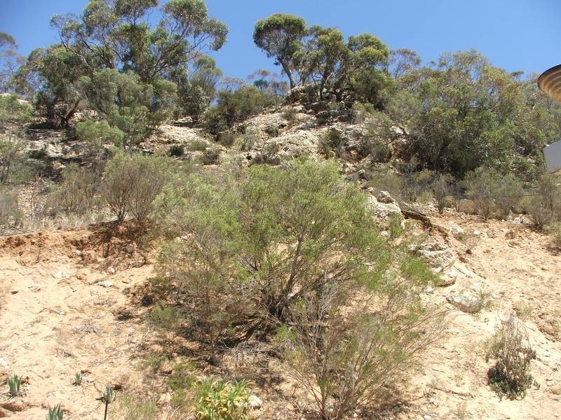 Cabin at Site 314 Younghusband Caravan Park, Mannum SA 5238