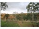 29 Rob Loxton, Walker Flat SA 5238