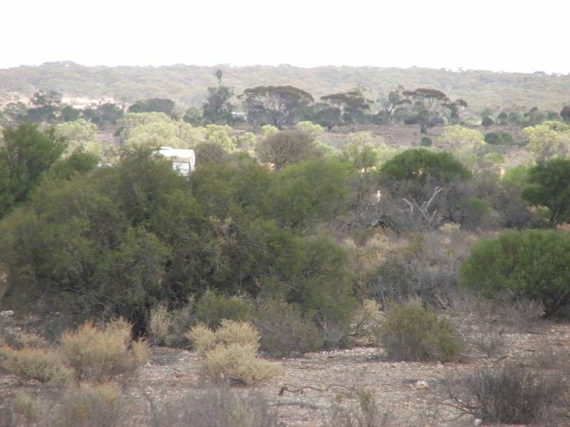 allot 56 Moorundie Road, Swan Reach SA 5354