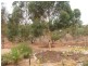 Allots 92 & 93 Church Crescent, Palmer VIA, Mannum SA 5238
