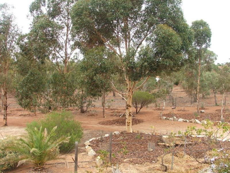 Allots 92 & 93 Church Crescent, Palmer VIA, Mannum SA 5238