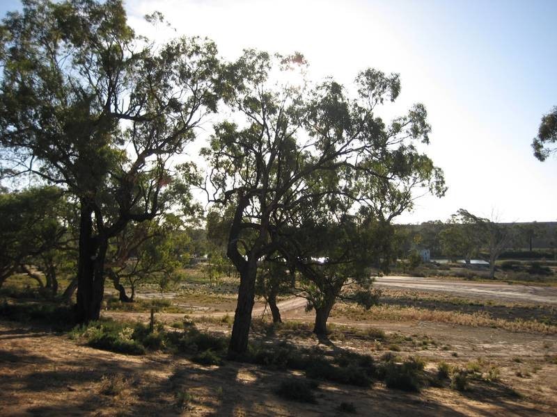 7 & 8 Swan Reach Road, Nildottie SA 5238