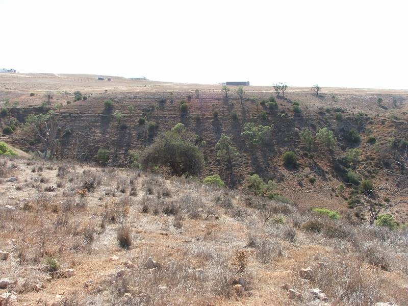 15 Kirkness Road, Mannum SA 5238