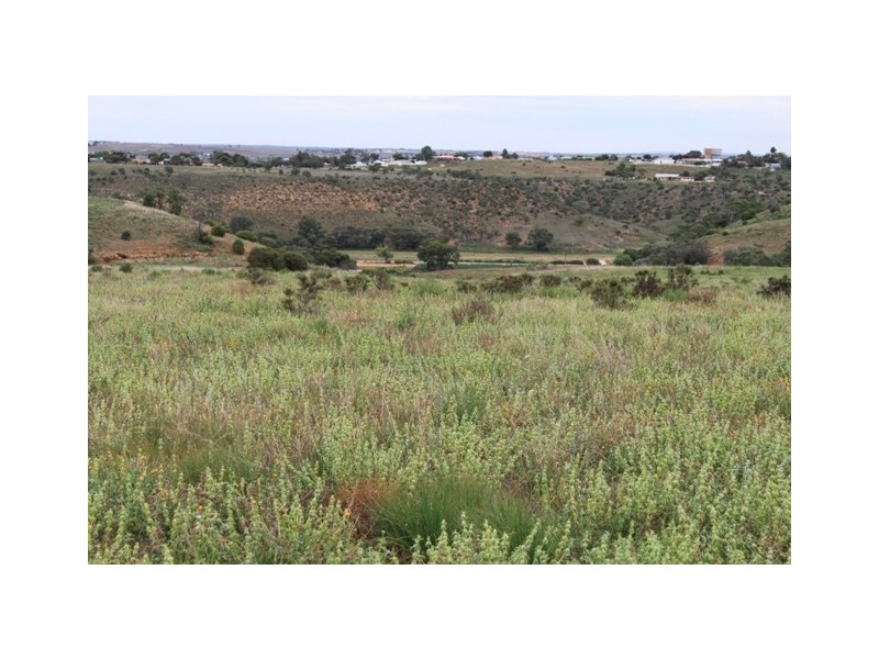 15 Kirkness Road, Mannum SA 5238