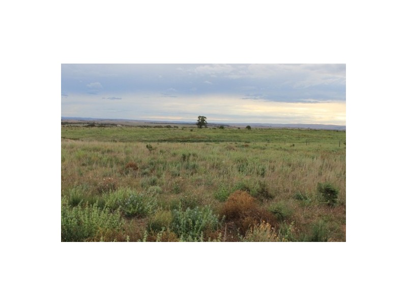 15 Kirkness Road, Mannum SA 5238