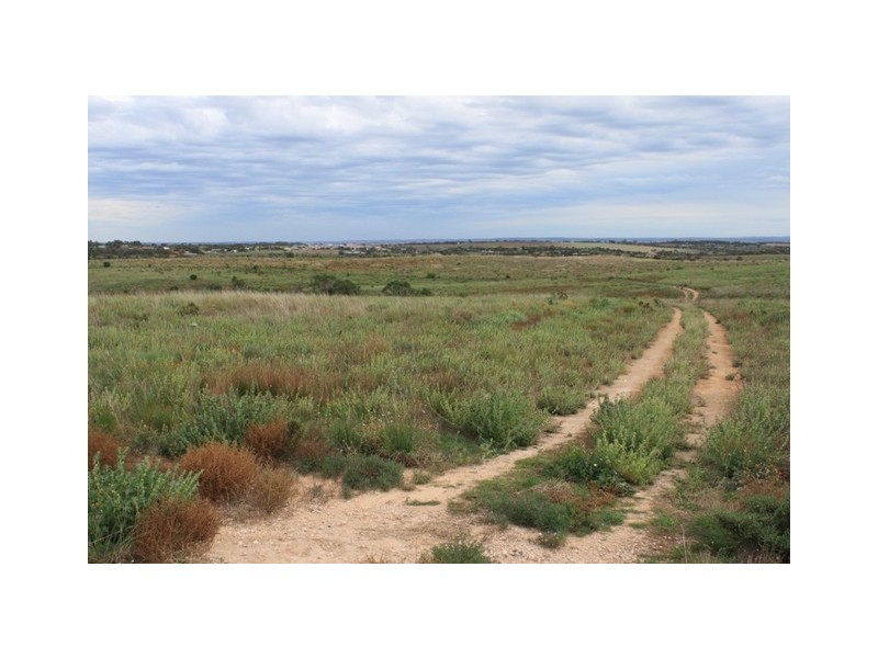 15 Kirkness Road, Mannum SA 5238