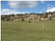 Allot 2 East Front Road, Younghusband VIA, Mannum SA 5238