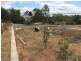 Lot 33 Panorama Avenue, Younghusband SA 5238