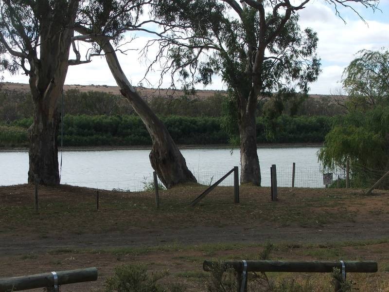 Lot 56 Perseverance Ct, Younghusband SA 5238