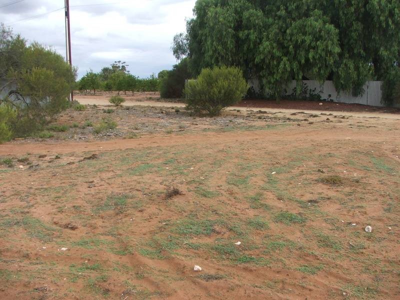 lot 24 Marble St,, Swan Reach SA 5354