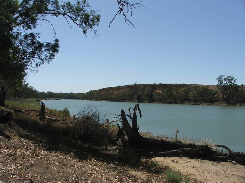 Lot 10 & 11 Murray Lands Road, Swan Reach SA 5354