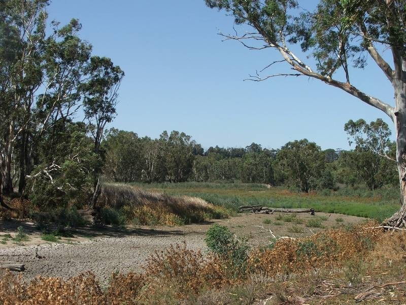 Lot 10 & 11 Murray Lands Road, Swan Reach SA 5354