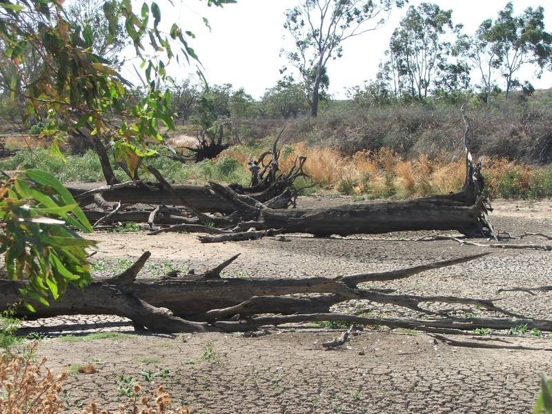 Lot 10 & 11 Murray Lands Road, Swan Reach SA 5354