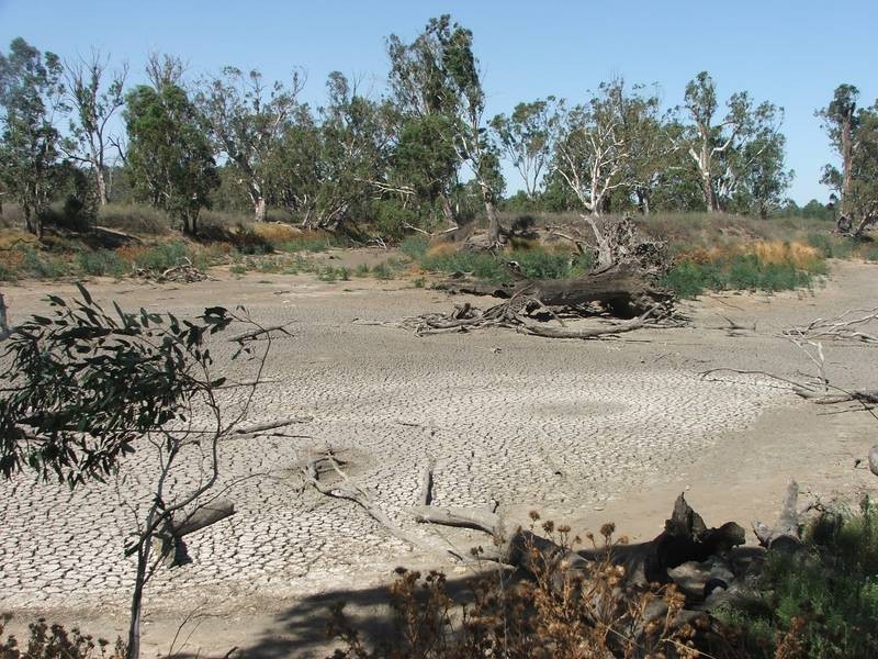 Lot 10 & 11 Murray Lands Road, Swan Reach SA 5354