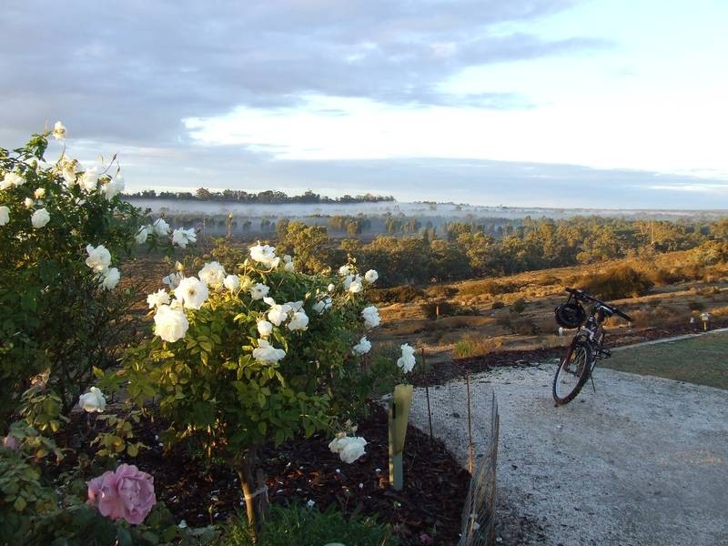 Lot 10 & 11 Murray Lands Road, Swan Reach SA 5354