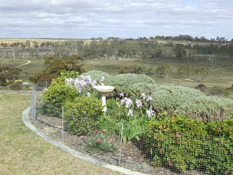 Lot 10 & 11 Murray Lands Road, Swan Reach SA 5354