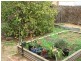 17 Rudolf Street, Mannum SA 5238